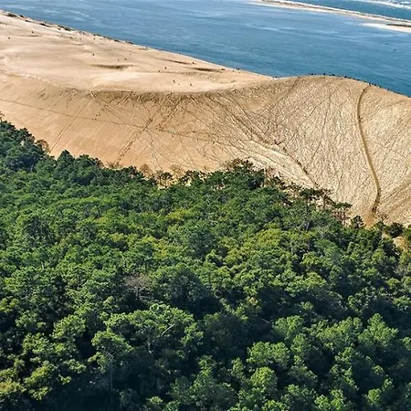 酒店 Ibis Budget Bassin D'arcachon 2*